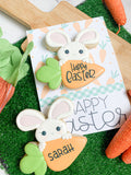 Bunny and carrot