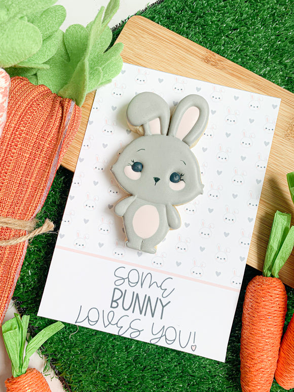 Cute bunny