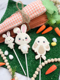 Cookies on a stick